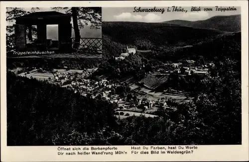 Ak Schwarzburg in Thüringen, Hotel Thüringer Hof, Panorama vom Trippstein, Trippsteinhäuschen