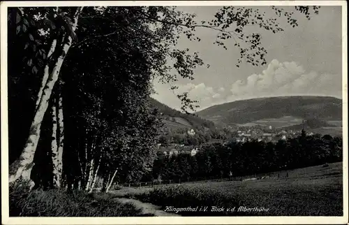 Ak Klingenthal im Vogtland Sachsen, Ortsansicht von der Alberthöhe