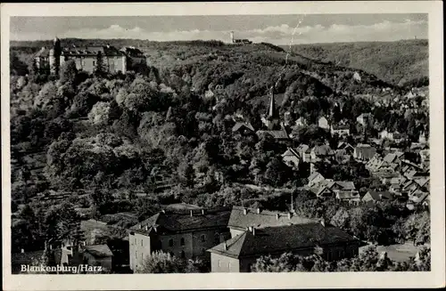 Ak Blankenburg am Harz, Panorama