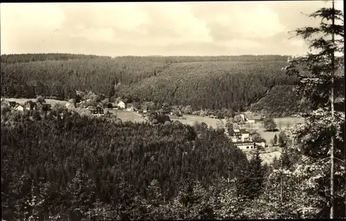 Ak Bärenfels Altenberg im Erzgebirge, Panorama