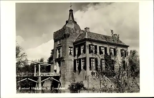 Ak Heukelum Lingewaal Gelderland, Kasteel bij Leerdum