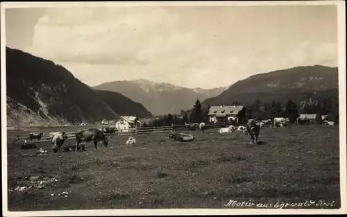 Foto Ak Ehrwald in Tirol, Panorama, Kühe