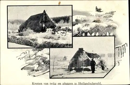 Ak Hollandscheveld Drenthe Niederlande, Krotten van twijg en plaggen, Winter