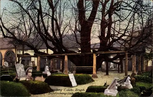 Ak Annaberg Buchholz im Erzgebirge, Auferstehungslinde auf dem Friedhof