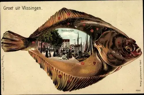 Fisch Litho Vlissingen Zeeland Niederlande, Nieuwendijk, Flunder