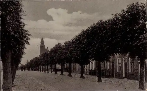 Ak Wemeldinge Zeeland Niederlande, Straßenpartie, Allee