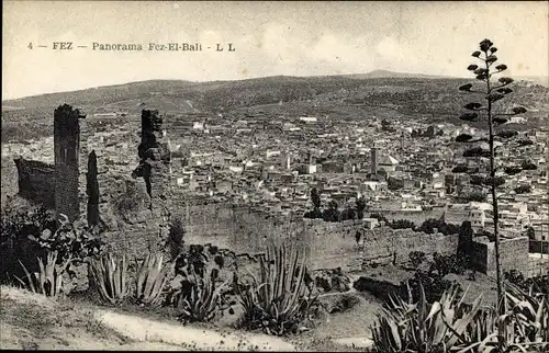 Ak Fes el Bali Fez Marokko, Panorama