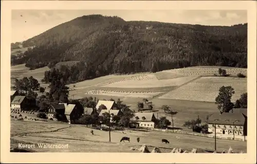 Ak Waltersdorf Großschönau in der Oberlausitz, Panorama