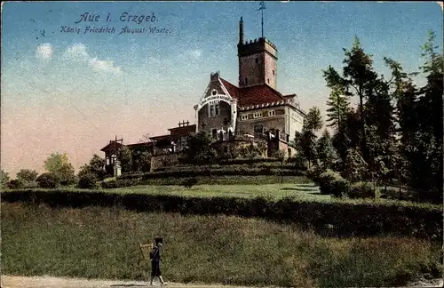 Ak Aue im Erzgebirge Sachsen, König Friedrich August Warte