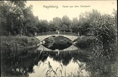 Ak Magdeburg an der Elbe, Partie aus dem Stadtpark, Brücke