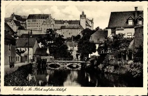 Ak Colditz in Sachsen, Blick auf das Schloss