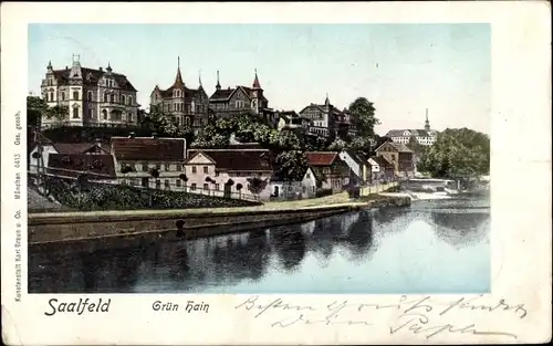 Leuchtfenster Ak Saalfeld an der Saale Thüringen, Grün Hain