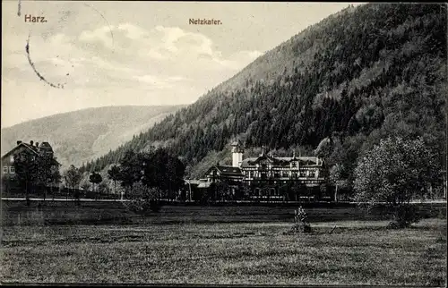 Ak Netzkater Ilfeld am Harz Thüringen, Teilansicht