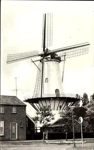 Ak Westmaas Südholland, Molen Windlust