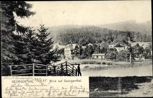 Ak Georgenthal in Thüringen, Blick auf den Ort