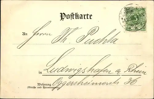 Ak Konstanz am Bodensee, Stadtgartenansicht, Glückwunsch Neujahr