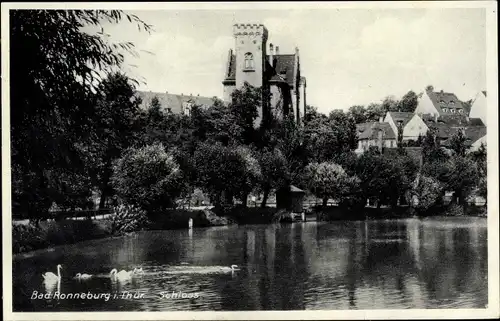 Ak Ronneburg in Thüringen, Schloss, See, Schwäne