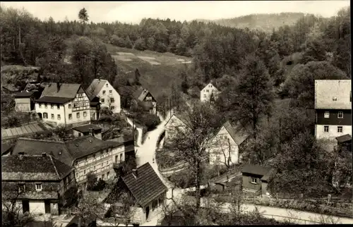 Ak Reinhardtsdorf Schöna in Sachsen, Blick in den Hirschgrund, Wald