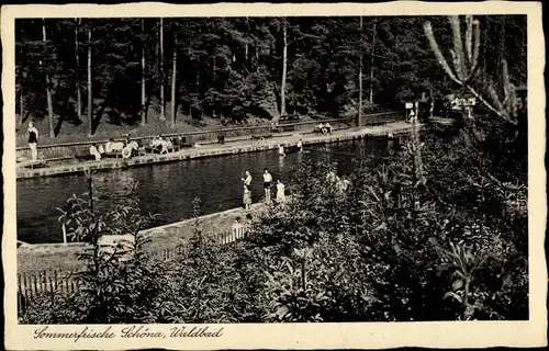 Ak Schöna Sächsische Schweiz, Waldbad