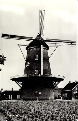 Ak Wilp Gelderland Niederlande, Molen