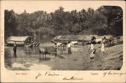 Ak Ceylon Sri Lanka, River Scene