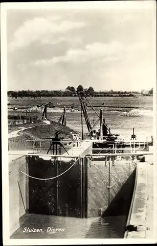 Ak Dieren Gelderland, Sluizen