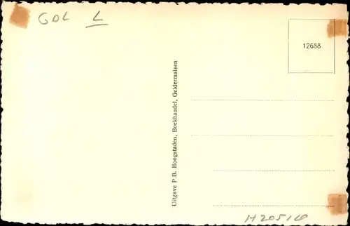 Ak Geldermalsen Gelderland, N. H. Kerk