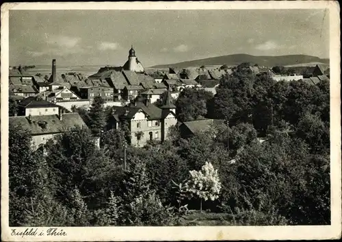 Ak Eisfeld in Thüringen, Totalansicht