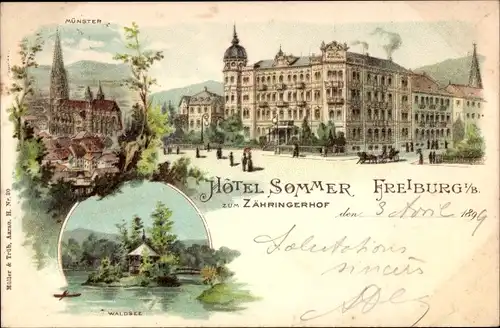 Litho Freiburg im Breisgau, Hotel Sommer zum Zähringerhof, Waldsee, Münster