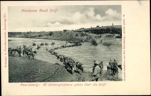 Ak Paardeberg Südafrika, 32 Ochsengespanne gehen über die Drift, Koodooes Rand Drift, Burenkrieg