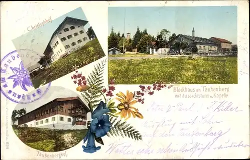 Ak Warngau in Oberbayern, Taubenberg, Blockhaus, Taubenberghof, Christophhof