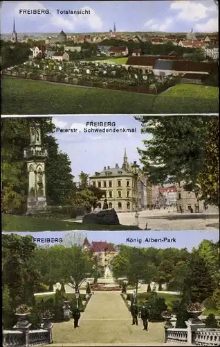 Ak Freiberg in Sachsen, Peterstraße, König Albert Platz, Schwedendenkmal