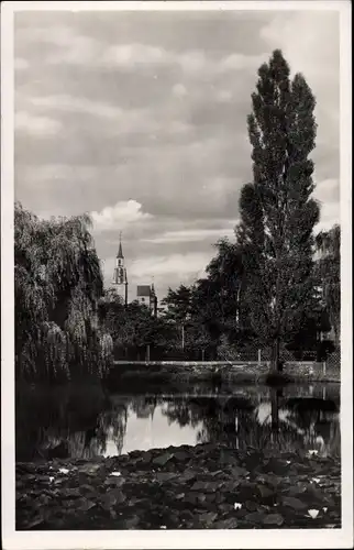 Ak Freiberg in Sachsen, Stadtpark, Johannisteich, Petrikirche