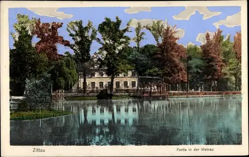 Ak Zittau in der Oberlausitz, Partie in der Weinau