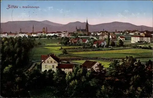 Ak Zittau in der Oberlausitz, Blick auf den Ort vom Eckertsberge