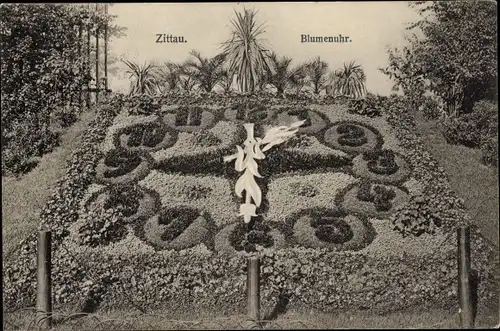 Ak Zittau in der Oberlausitz, Blumenuhr