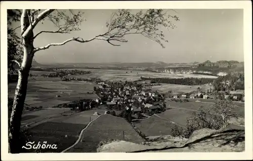 Foto Ak Schöna Sächsische Schweiz, Panorama