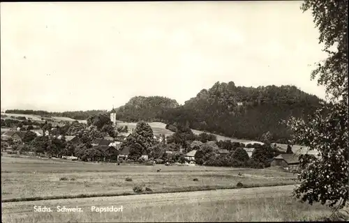 Ak Papstdorf Gohrisch in Sachsen, Panorama