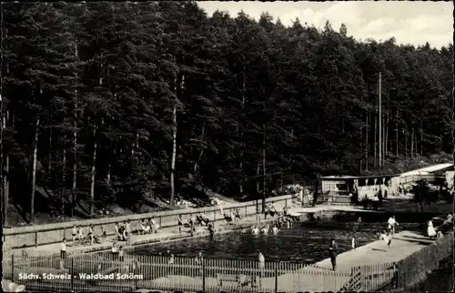 Ak Schöna Sächsische Schweiz, Waldbad
