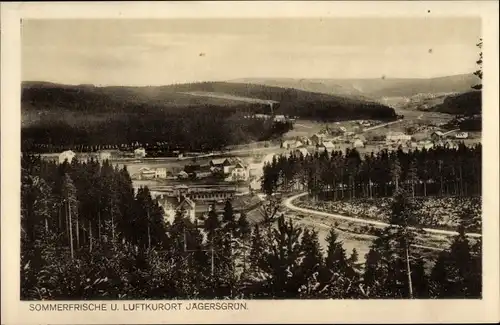 Ak Jägersgrün Muldenhammer im Vogtland, Panorama
