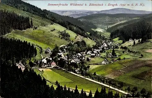 Ak Wildenthal Eibenstock im Erzgebirge Sachsen, Totalansicht