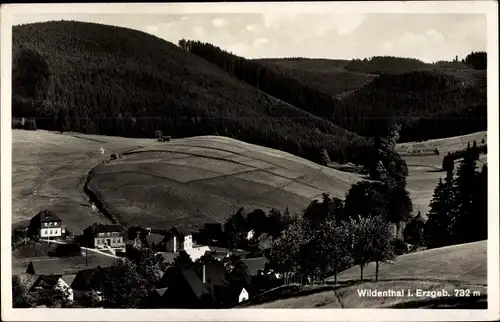 Ak Wildenthal Eibenstock im Erzgebirge Sachsen, Panorama