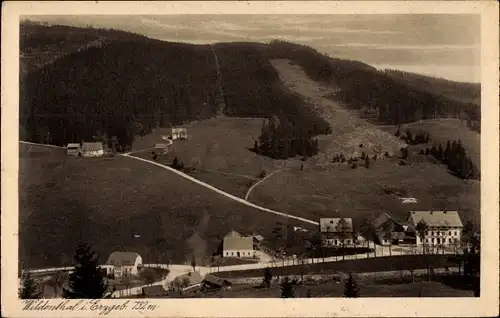 Ak Wildenthal Eibenstock im Erzgebirge Sachsen, Teilansicht