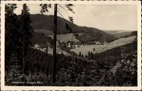 Ak Wildenthal Eibenstock Erzgebirge, Ortspanorama