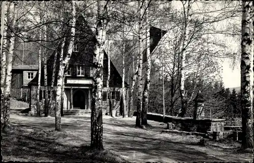 Ak Rittersgrün Breitenbrunn im Erzgebirge, Jugendherberge Ernst Scheffler, Bänke, Birken