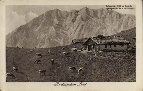 Ak Berchtesgaden in Oberbayern, Watzmann, Gotzenalm, Springlkaser