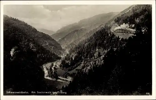 Ak Gremmelsbach Triberg im Schwarzwald, Seelenwald, Schwarzwaldbahn