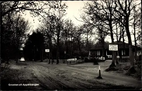 Ak Appelbergen Groningen, Straßenpartie, Bäume