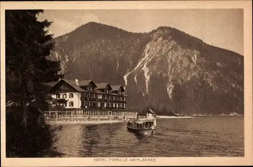 Ak Plansee in Tirol, Hotel Forelle, Panorama