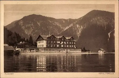Ak Plansee Tirol Österreich, Hotel Forelle, Panorama